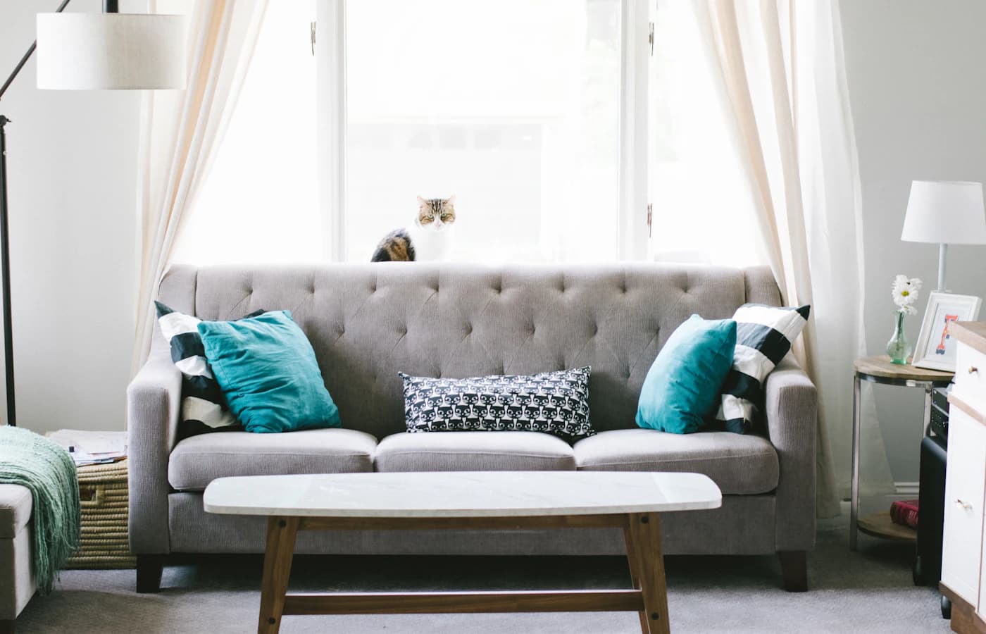 Leather vs Fabric Sofas: Which Couch Should You Buy?